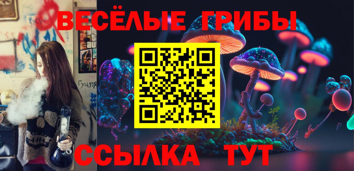 Псилоцибиновые грибы мухоморы Карачаевск